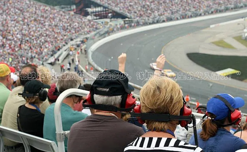 k1体育登录入口网页版姚记科技“维也纳足球运动员的薪资是多少，详解足球明星的收入情况！”