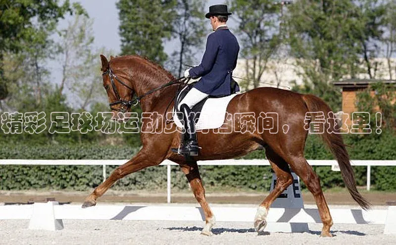 k1体育网站登陆官网百度手机卫士精彩足球场运动员掏裆瞬间，看这里！