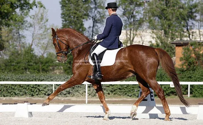 k1体育登录入口网页版度小满支付Mastering Mind Games: The Ultimate Guide to Outplaying Opponents on the Football Fie