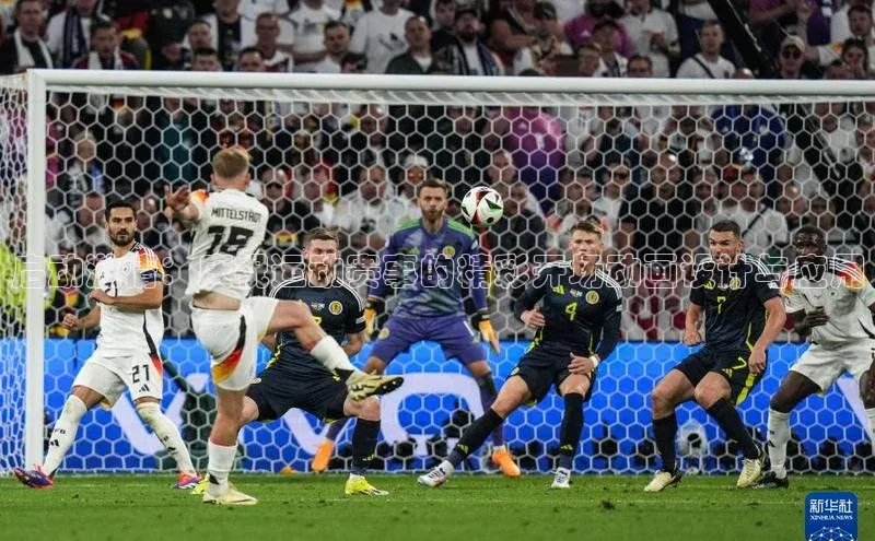 启动激情：庆祝运动赛事的精彩开场动画设计与应用