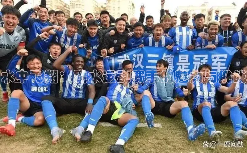 水中飞翔：跳水运动赛事的魅力与挑战