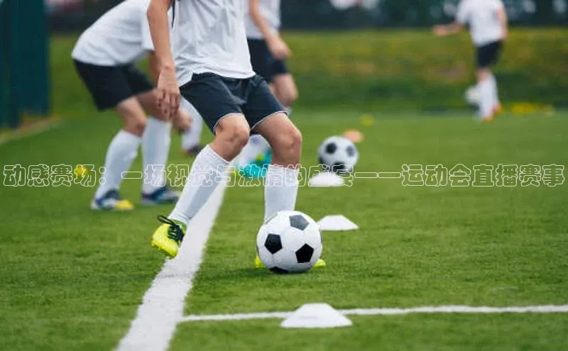 动感赛场：一场视觉与激情的盛宴——运动会直播赛事