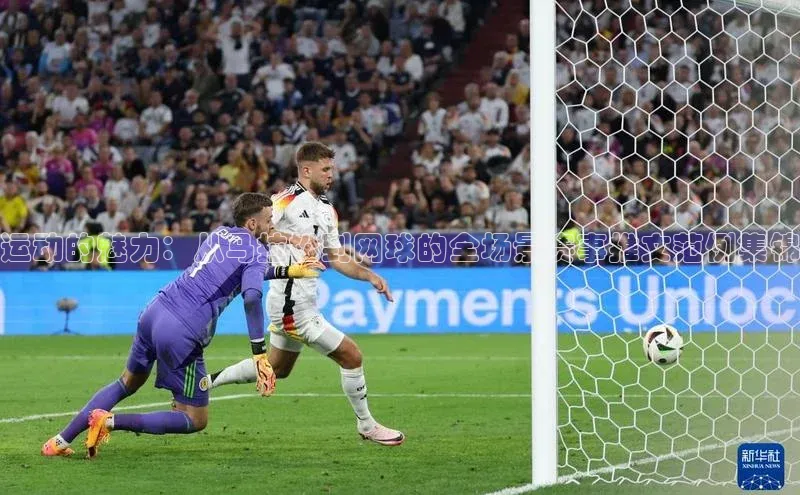 运动的魅力：从马拉松到网球的全场景赛事推文范例集锦