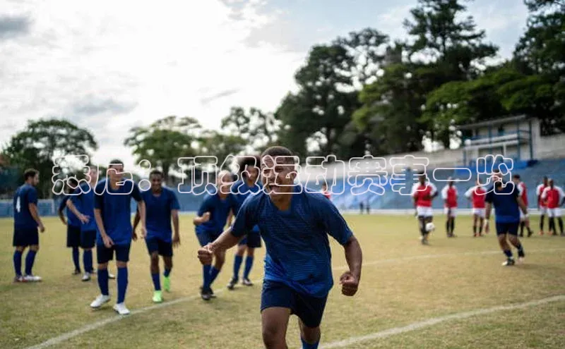 悉尼：顶级运动赛事一览