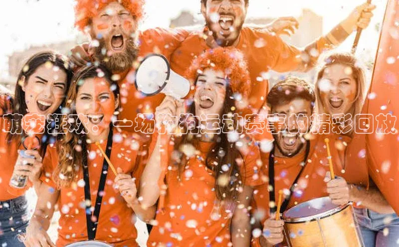 萌宠狂欢：一场狗狗运动赛事的精彩回放