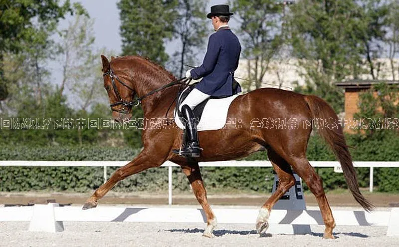 国际视野下的中国国内运动赛事分析与展望：全球视角下的本土现象研究