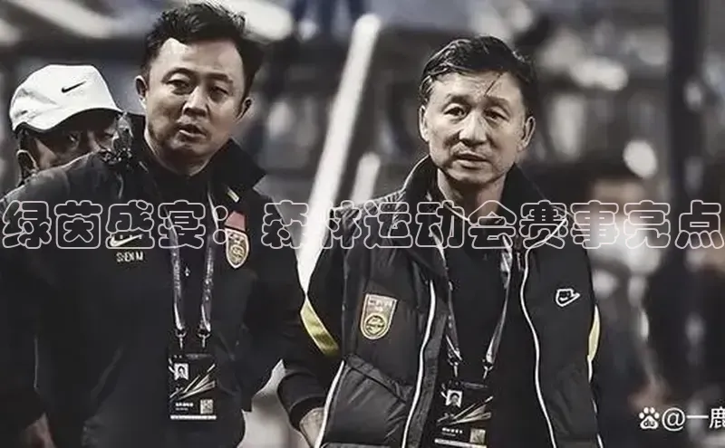 绿茵盛宴：森林运动会赛事亮点