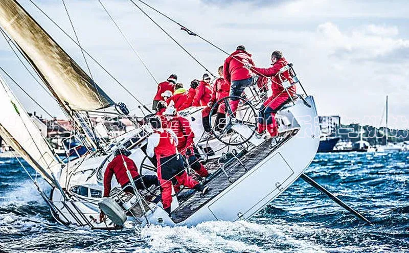 省内定向运动盛事：未知的乐趣与挑战