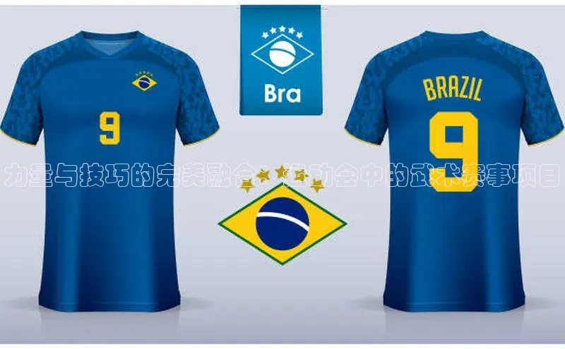 力量与技巧的完美融合：运动会中的武术赛事项目