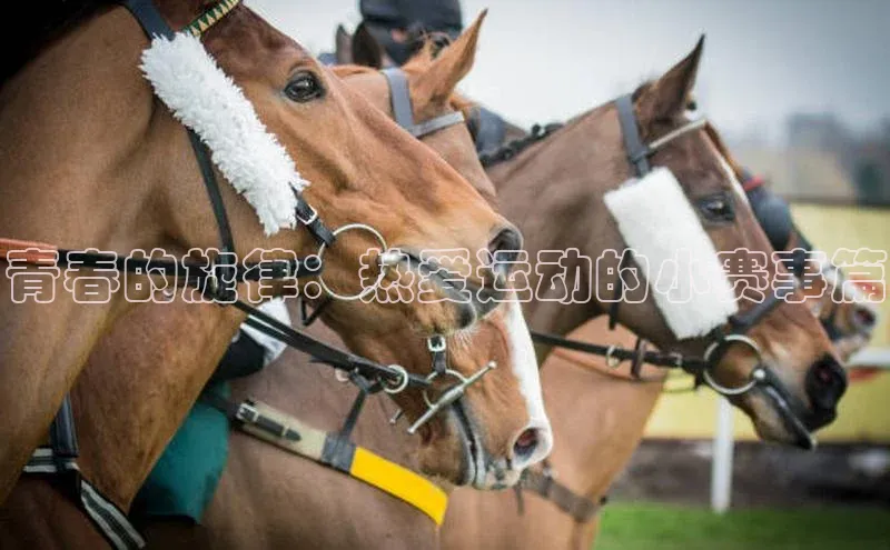 青春的旋律：热爱运动的小赛事篇