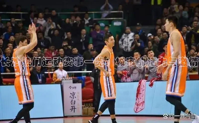 长沙热门运动赛事一览：城市的活力与激情